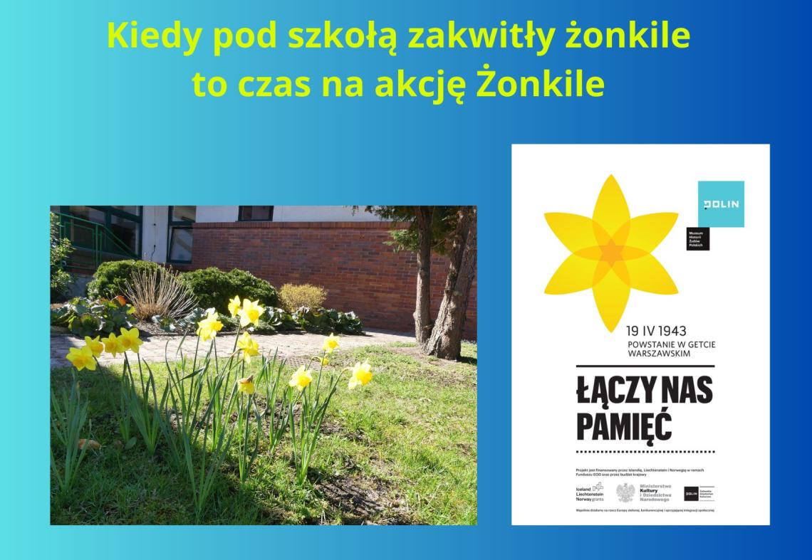 plakat informujący o akcji żonkile
